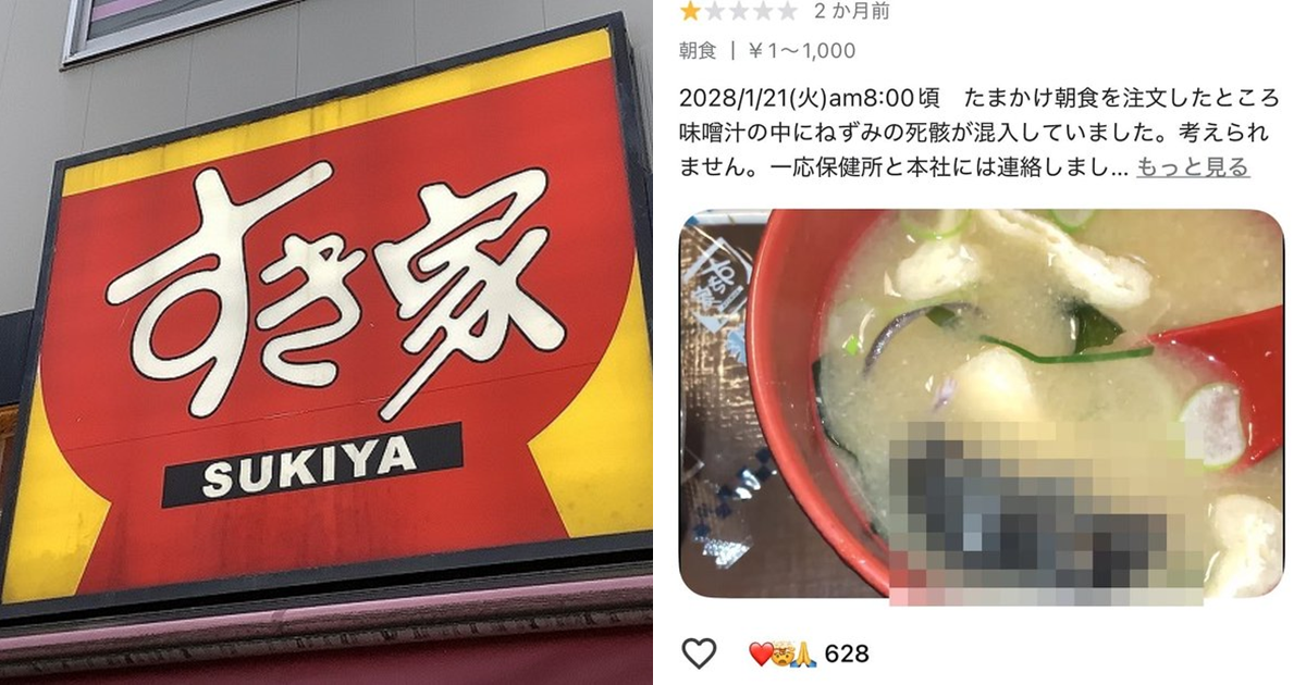  「老鼠混入」風波未平！食其家東京門市再爆「害蟲」問題　幾乎全店暫停營業表示「深感歉意」
