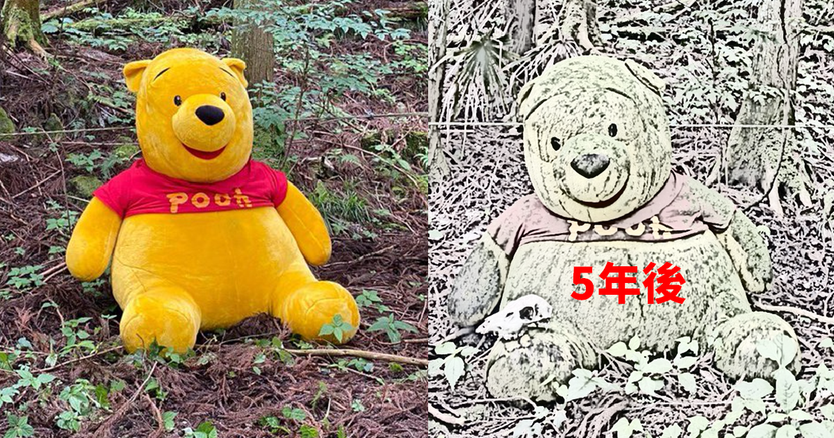 森林實驗？日網友將「小熊維尼娃娃」放置山林五年後竟出現頭骨　網友直呼 : 變都市傳說了...