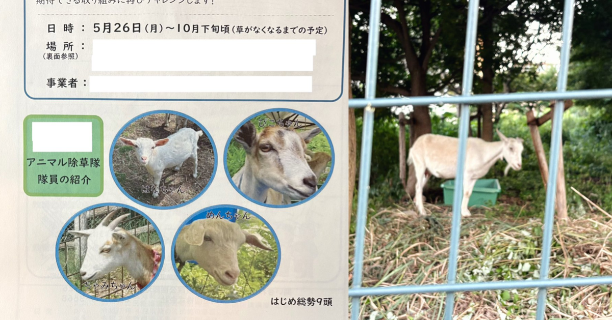 推主分享居住町內會雇用「山羊除草隊」引爆熱議！ 網友直呼：這感覺比真人戰力還強！