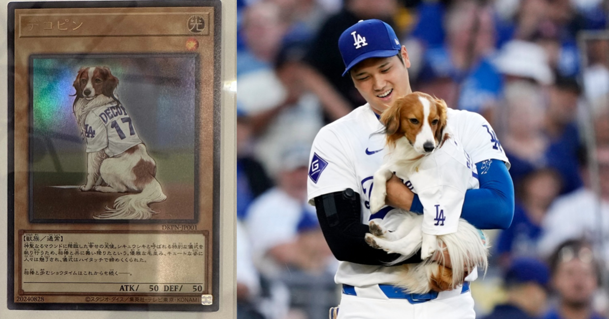大谷翔平曬出KONAMI贈送「愛犬DECOY遊戲王卡」 攻防都是50引網友笑：太有梗了！