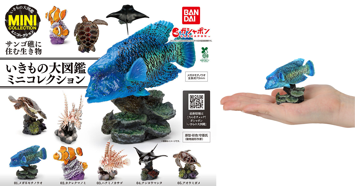 GASHAPON「生物大圖鑑迷你收藏 棲息在珊瑚礁的生物」轉蛋 豐沛細節刻畫帶來滿滿生命力！