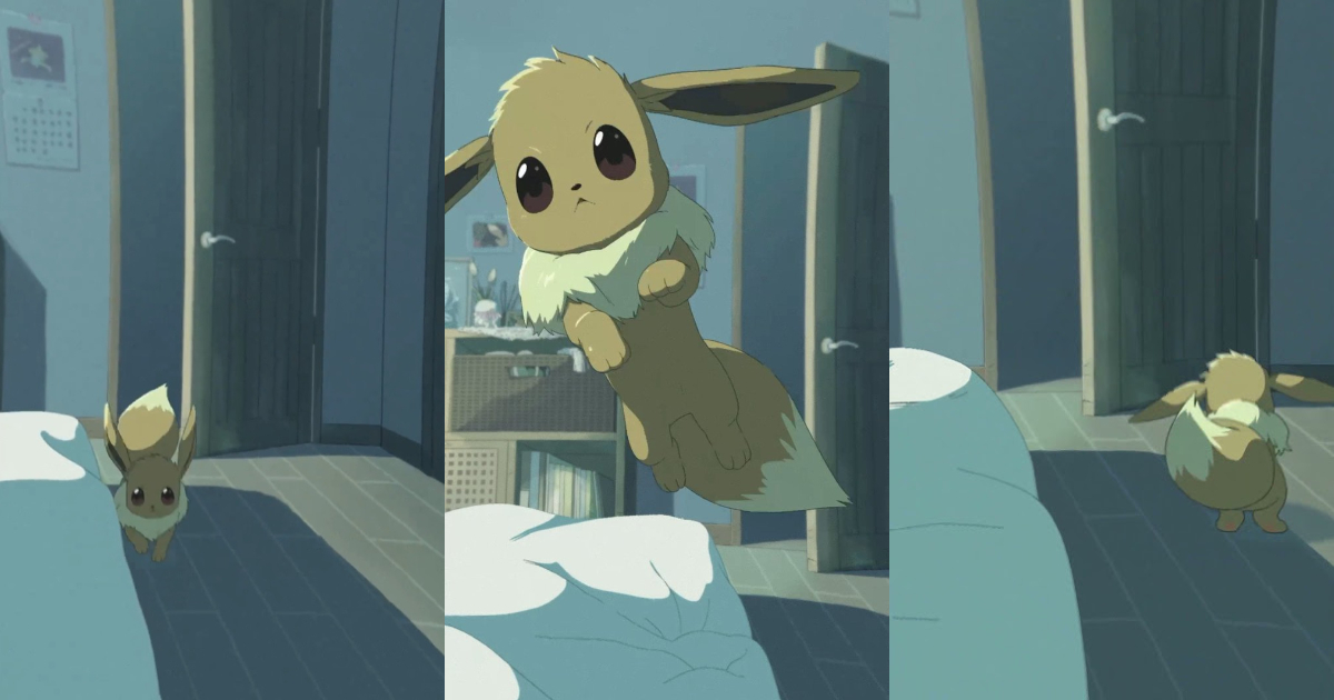 《Pokémon Sleep》短片「與伊布元氣的早晨」飛撲磨蹭快閃超可愛  網友 : 根本毛孩日常！