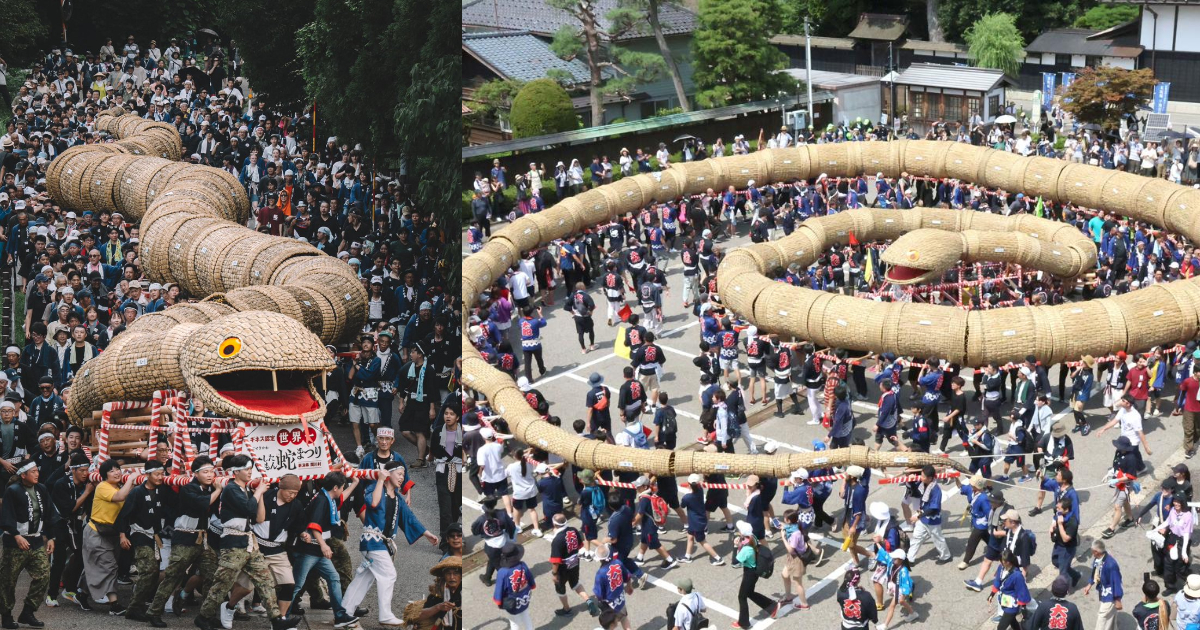 新潟縣關川村「大蛇祭遊行」壯觀景象成為網路話題  網友喻草編大蛇像「哥吉拉浦田君」