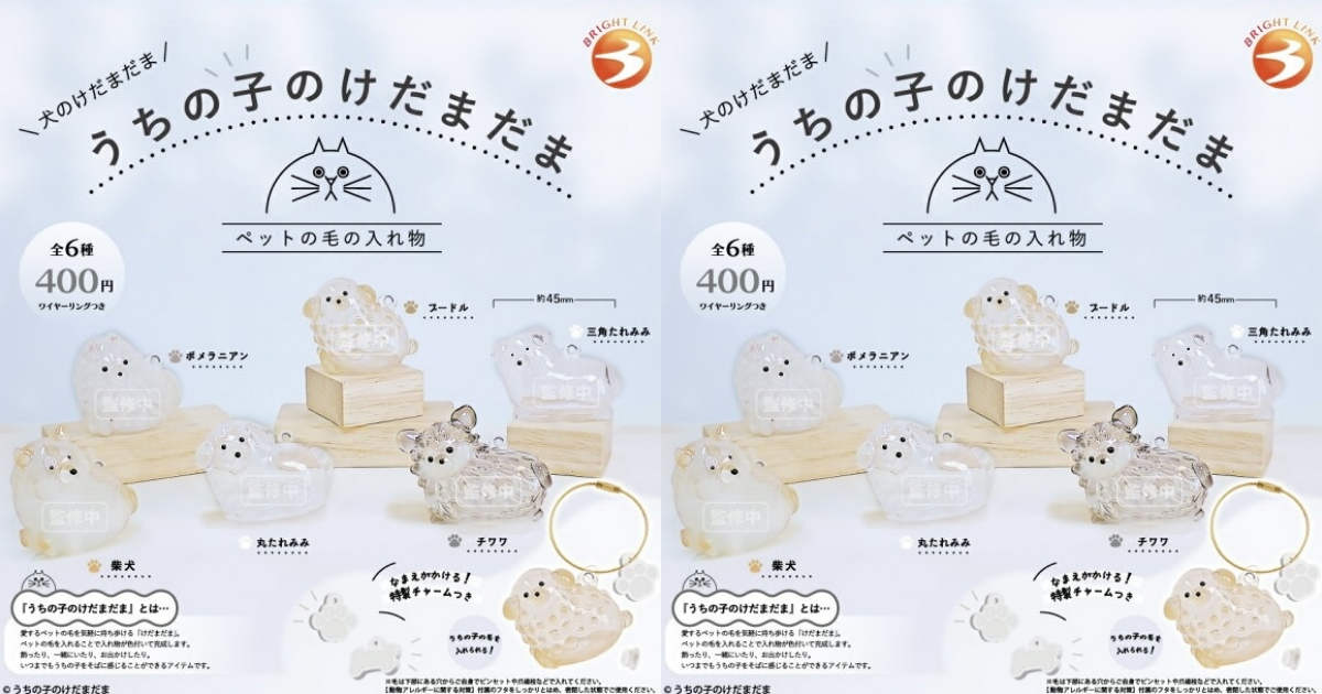 BRIGHT LINK「我們家狗狗的 KEDAMADAMA 寵物毛髮專用小容器」轉蛋，可以塞入毛孩毛髮的透明狗狗！