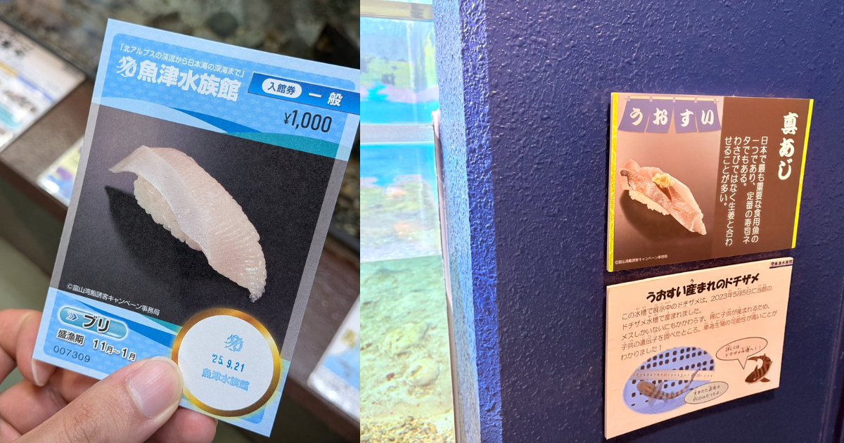 富山縣魚津水族館辦「壽司展」生魚片壽司卡牌入場券&館內壽司文宣  網友笑 : 越逛越餓...