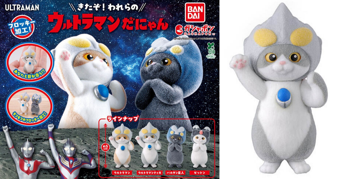 GASHAPON『超人力霸王喵』轉蛋 貓星人變身超人力霸王、巴爾坦星人～毛毛肉球出擊！