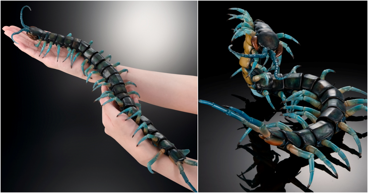 GASHAPON『生物大圖鑑Ultimate 青龍蜈蚣』轉蛋 46公分、186個關節震撼再現琉神大百足！