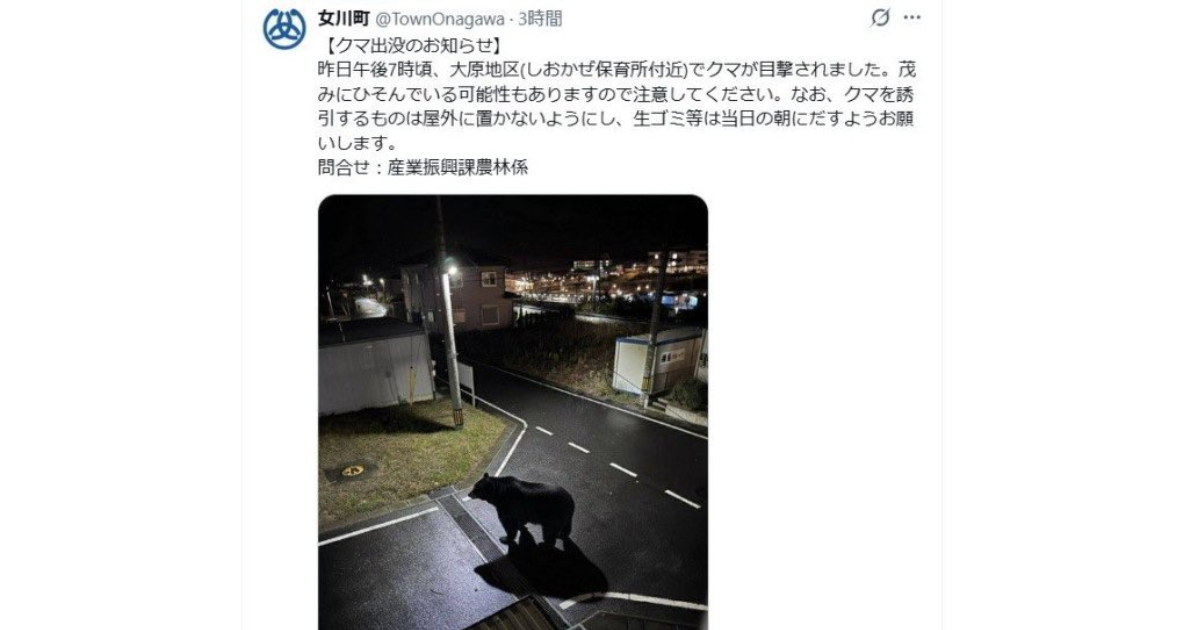 宮城縣女川町通報「熊出沒」竟是網友「AI生成的假圖」 假消息引起社會譁然