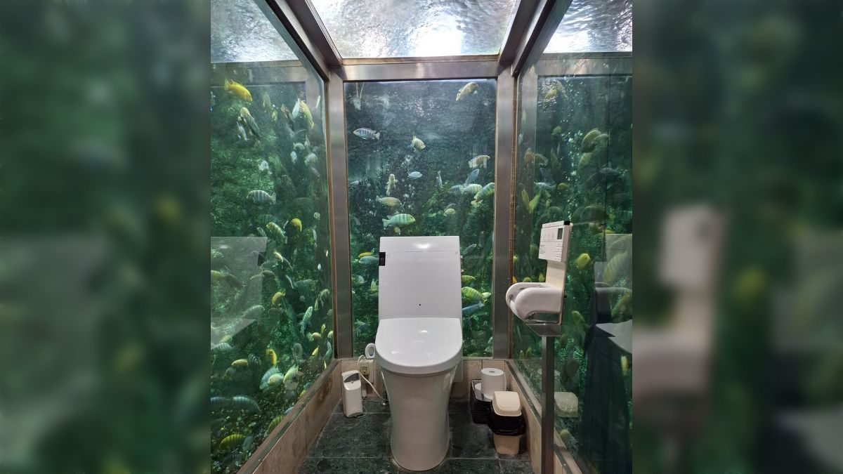 「被魚盯著的廁所」爆紅 日本網友朝聖超奇幻海底系風格大讚：原來有這麼多趣味的廁所！