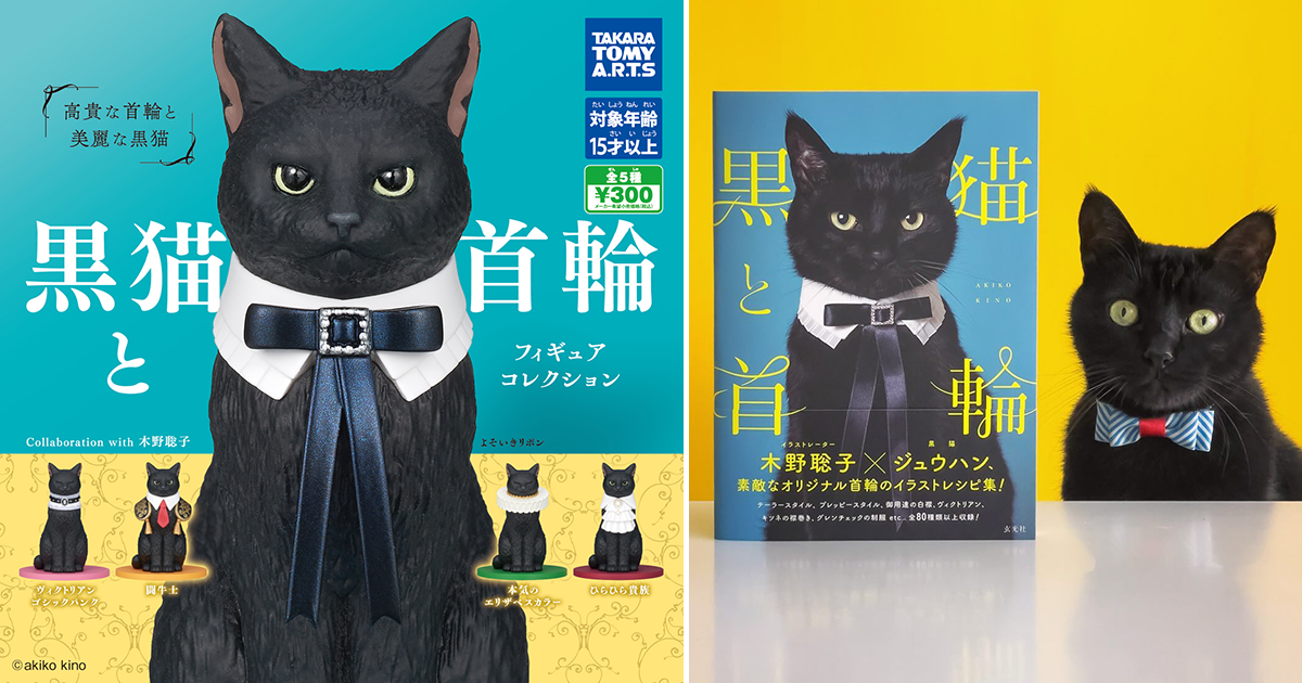 T-ARTS「黑貓與項圈 模型收藏」轉蛋 木野聰子設計的精美貓項圈＆明星黑貓ジュウハン立體化！