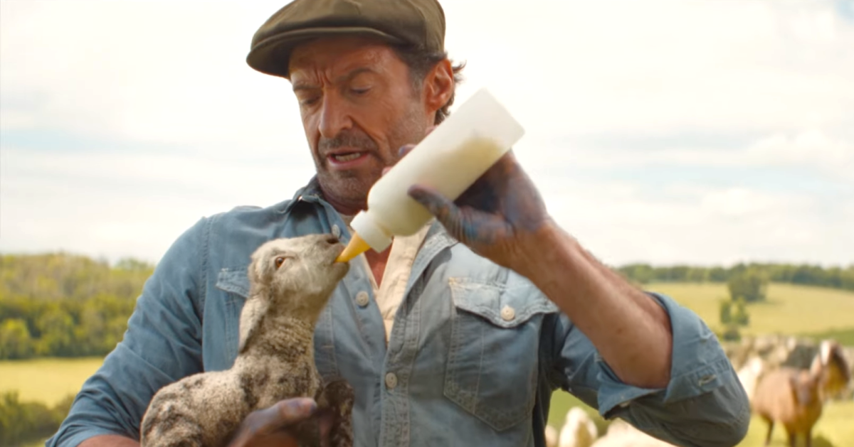 金鋼狼、X 教授、絕命毒師攜手主演！《小小兵》導演新作《綿羊偵探團》首支預告公開