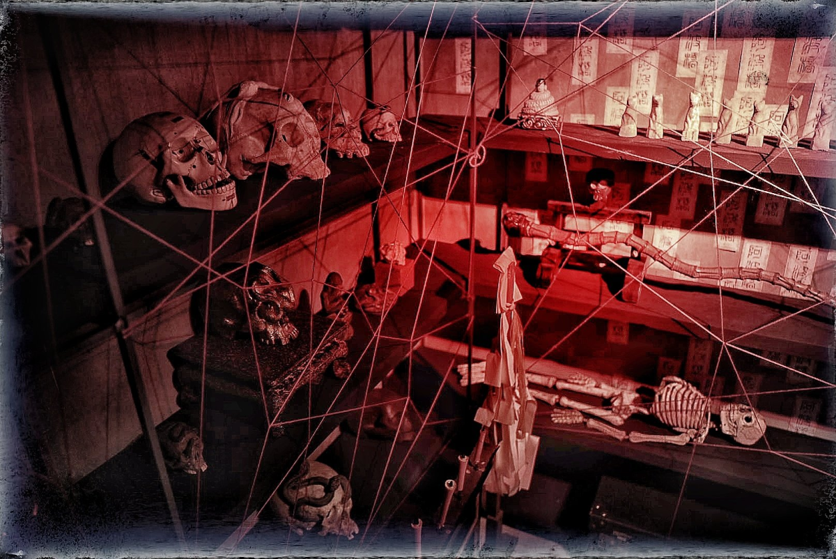 Antique Shop Owner Transforms Basement into a "Cursed Object Room" – Netizens Say Even Thieves Would Bolt!