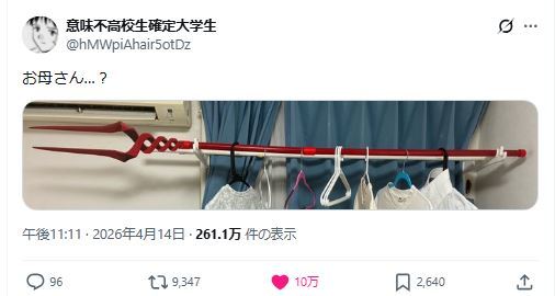 推主買《新世紀福音戰士》朗基努斯之槍道具被母親當曬衣桿用 網友笑翻：おめでとう！