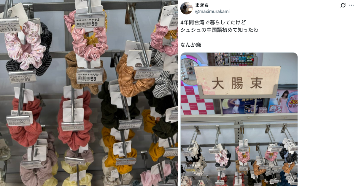 Japanese Netizen Who Lived in Taiwan for 4 Years Shocked to Learn Scrunchies Are Called "Large Intestine Bands"; Korean Netizens Say They Call Them "Small Intestines"
