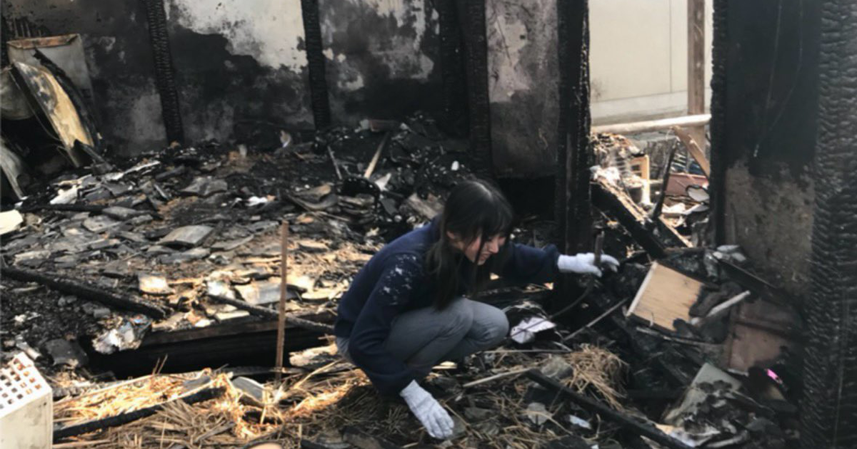 Childhood Pokémon Card Collection, Including Charizard and Blastoise, Incinerated in Arson Attack: Japanese Netizen's Heartbreak Goes Viral