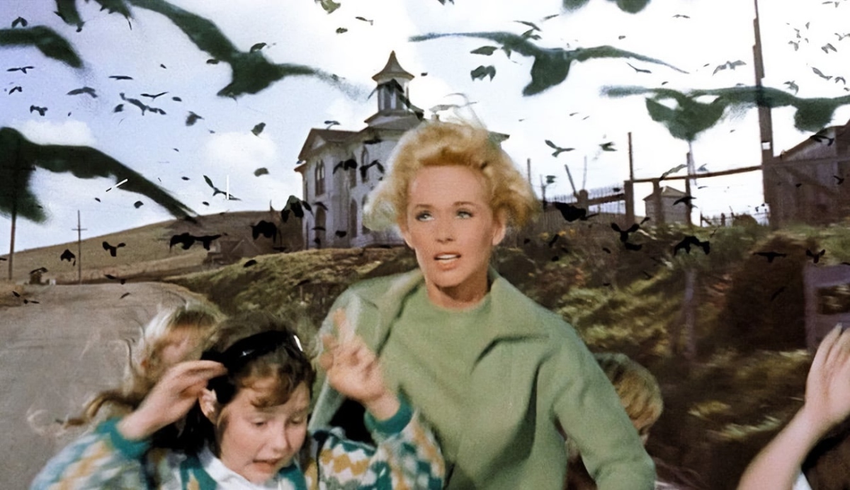 Alfred Hitchcock's "The Birds" Set for Series Remake; "Succession" Star Sarah Snook to Lead