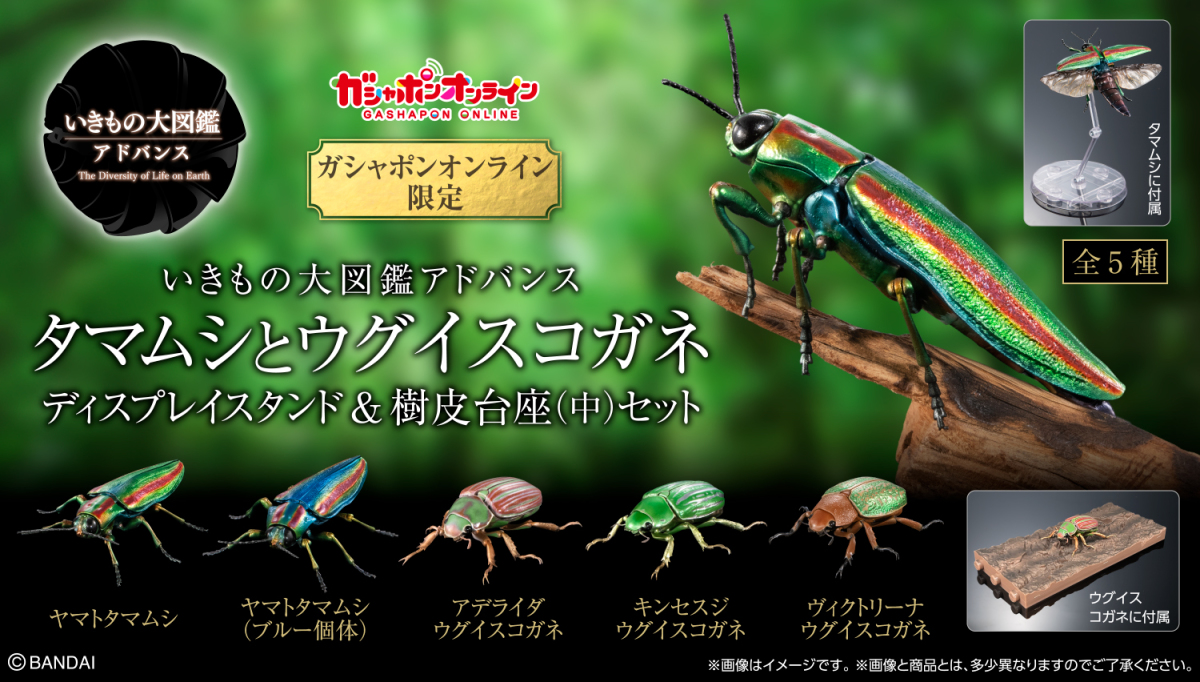 バンダイガシャポン「いきもの大図鑑アドバンス タマムシとウグイス