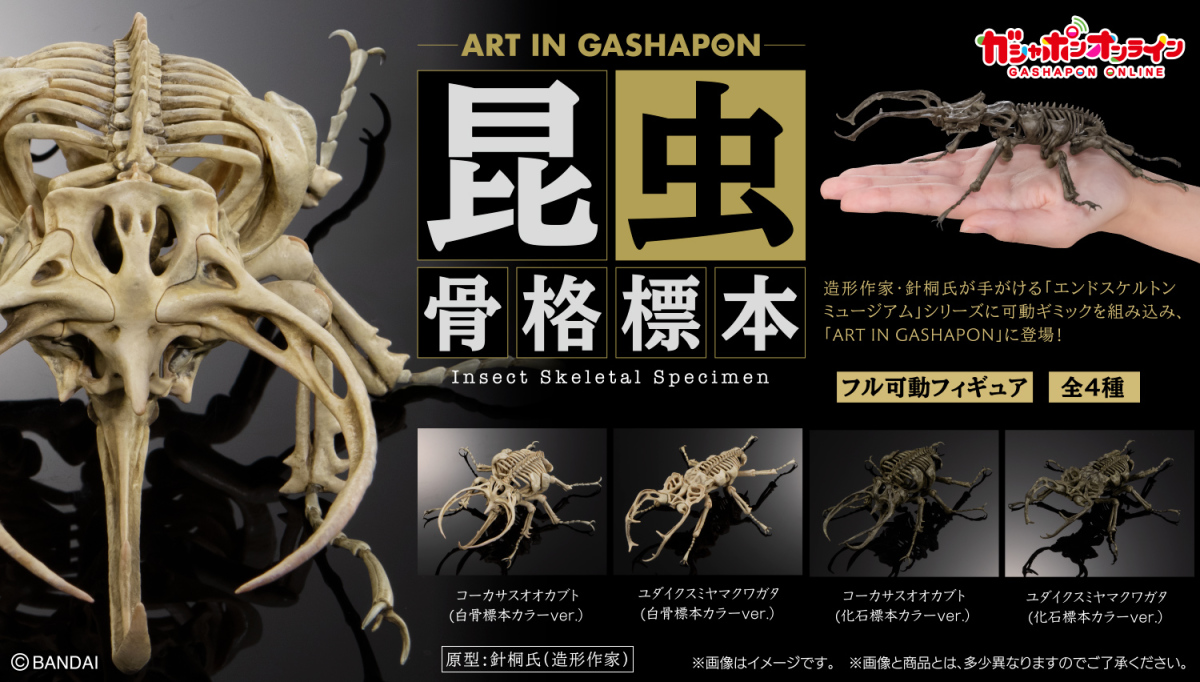 Bandai's "Art in Gashapon: Insect Skeleton Specimen" Capsule Toys Imagine Insects with Internal Skeletons!