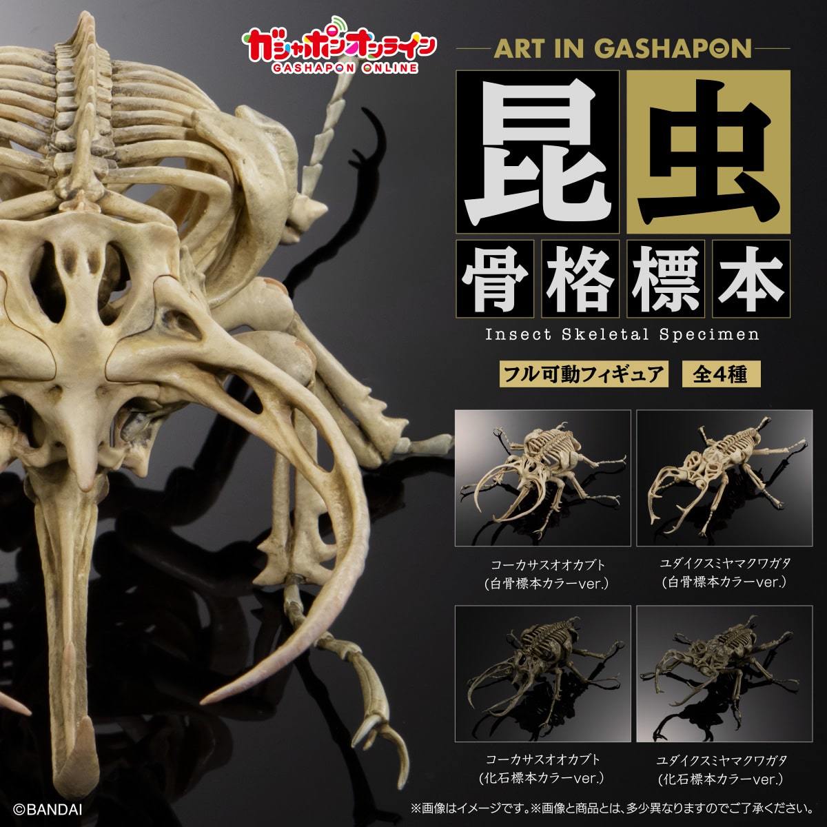 萬代『Art in Gashapon 昆蟲骨格標本』轉蛋如果昆蟲有內骨骼會怎樣？超