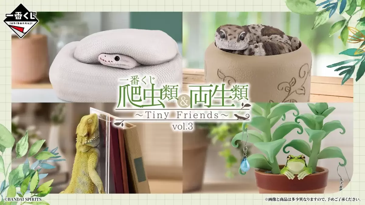 Ichiban Kuji "Reptiles & Amphibians ~Tiny Friends~ Vol.3" Full Prize Lineup Revealed! Featuring Adorable Ball Python and Gecko Storage Boxes