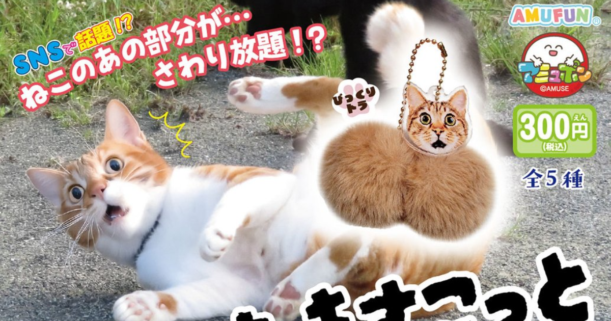ねこちゃんチャーム　マスカット AMUSE「にゃんたますこっとサプライズ」第三弾が登場！驚き顔の猫と