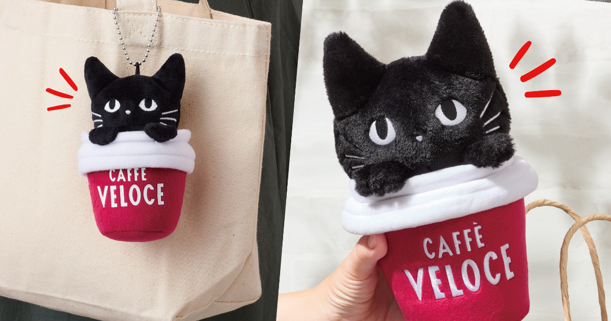 CAFFÈ VELOCE 40週年「黑貓紀念周邊」黑貓趴在咖啡杯上陪你一起喝咖啡！