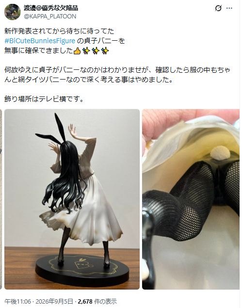 FuRyuプライズ『BiCute Bunnies 貞子』破れた白衣の下の魅力的な網