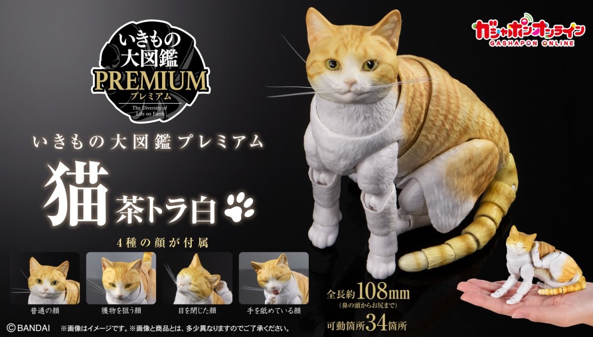 Gashapon Ikimono Daizukan PREMIUM Cat Articulated Figure Recreates Paw Licking, Scratching, and More