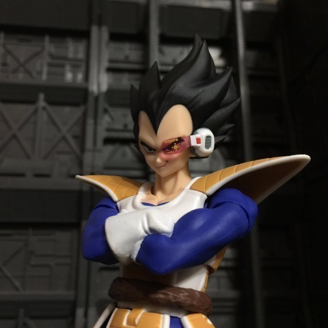 S.H.Figuarts 達爾